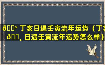 💮 丁亥日遇壬寅流年运势（丁亥 🕸 日遇壬寅流年运势怎么样）